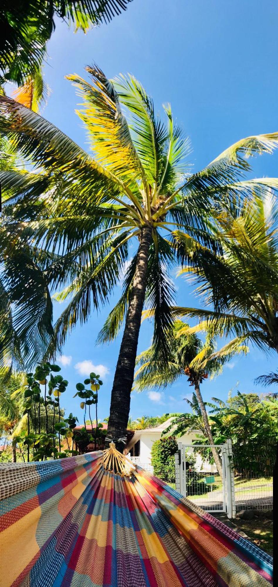 Vacances Bien Etre Guadeloupe Bouillante Buitenkant foto